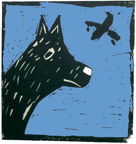 Plane flying over dog.