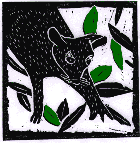 Possum in the leaves looking down.